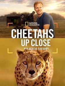 مشاهدة حصريًا مشاهدة وتحميل فيلم Cheetahs Up Close with Bertie Gregory 2026 مترجم