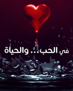 حصريًا مشاهدة وتحميل مسلسل في الحب والحياة الحلقة 5