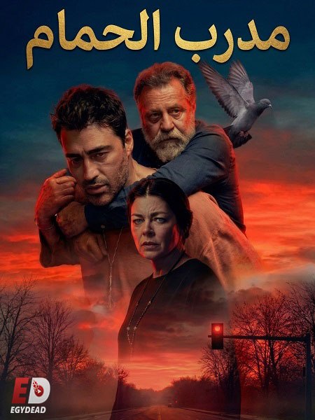 الحصريًا مشاهدة وتحميل فيلم التركي مدرب الحمام 2026 مدبلج